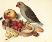 Still-Life with Pygmy Parrot - 格奥尔·弗莱格尔